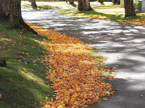 Fall leaves at the West Parish Garden Cemetery #11