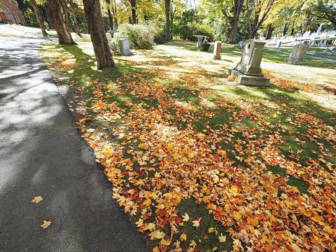 Fall leaves at the West Parish Garden Cemetery #19