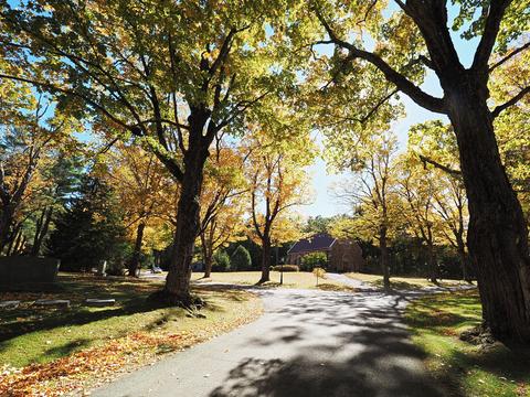 Fall leaves at the West Parish Garden Cemetery #20