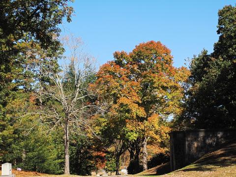 Fall leaves at the West Parish Garden Cemetery #21