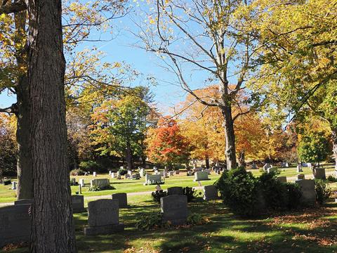 Fall leaves at the West Parish Garden Cemetery #22