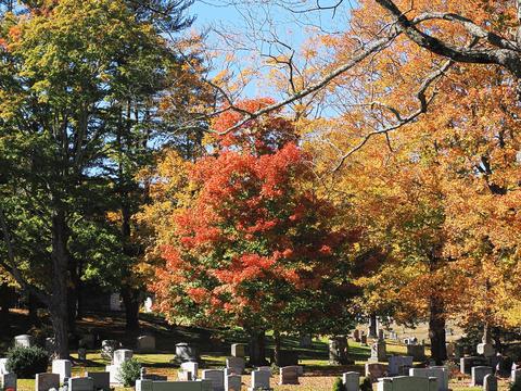 Fall leaves at the West Parish Garden Cemetery #23