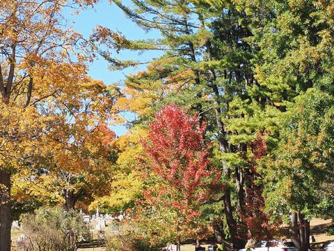 Fall leaves at the West Parish Garden Cemetery #24