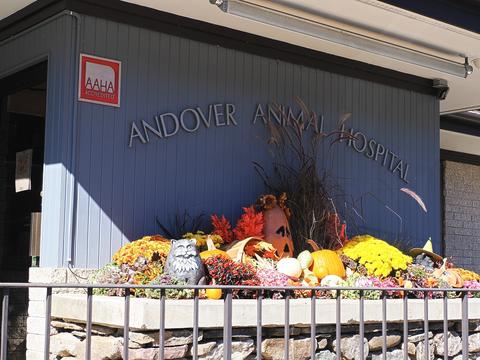 Andover Pet Hospital fall display