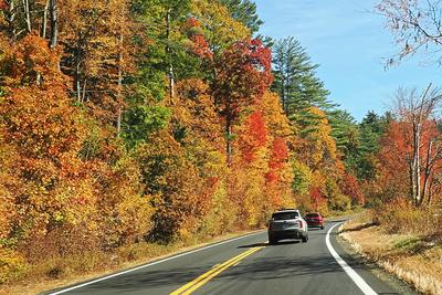 Fall road