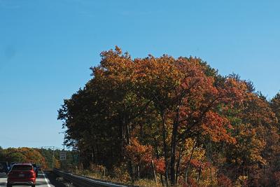 Fall road #2