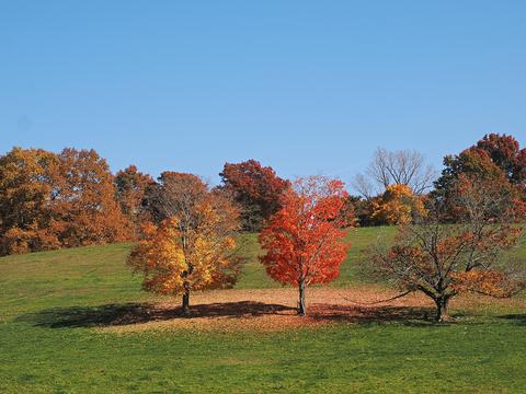 Fall at Gibbet Hill in Groton, MA