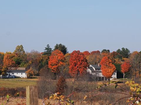 Fall at Gibbet Hill in Groton, MA #4