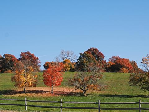 Fall at Gibbet Hill in Groton, MA #5