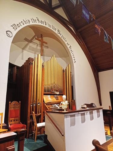 Skeleton organist