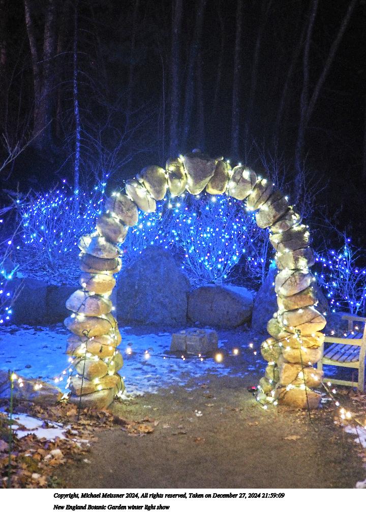 New England Botanic Garden winter light show #8