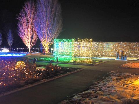 New England Botanic Garden winter light show #2