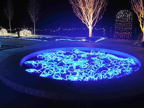 New England Botanic Garden winter light show #3