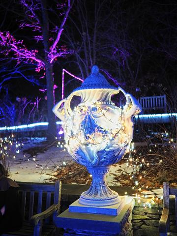 New England Botanic Garden winter light show #4