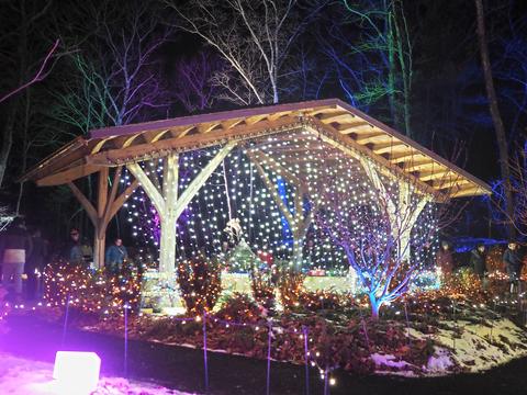 New England Botanic Garden winter light show #5