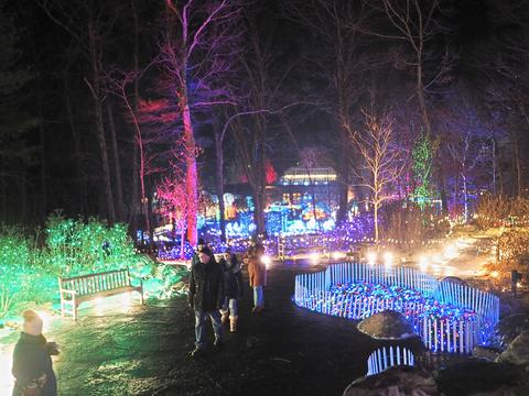 New England Botanic Garden winter light show #6