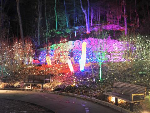 New England Botanic Garden winter light show #7