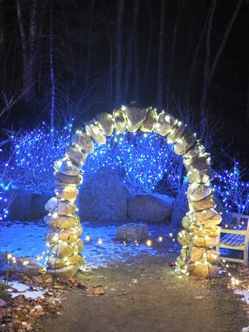 New England Botanic Garden winter light show #8