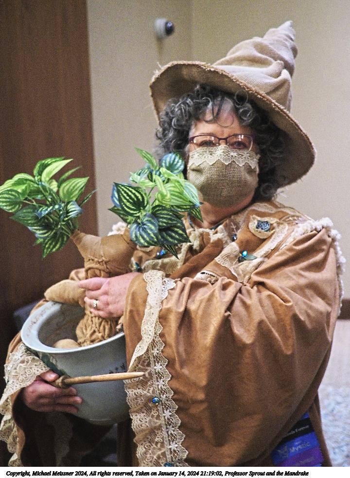 Professor Sprout and the Mandrake #6