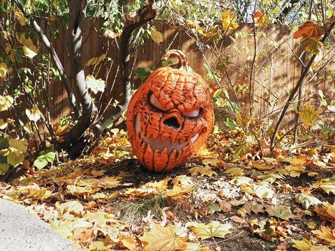 Jack-O-Lantern