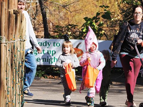 Trick or Treat #3