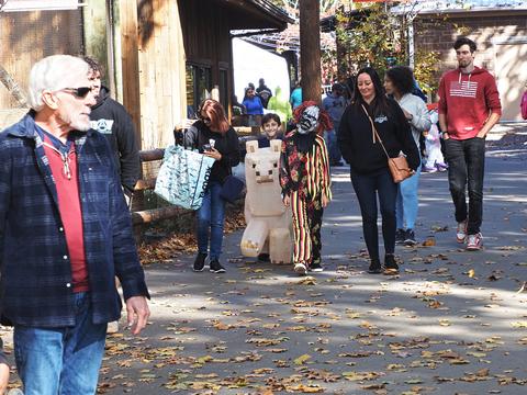 Kids costumes