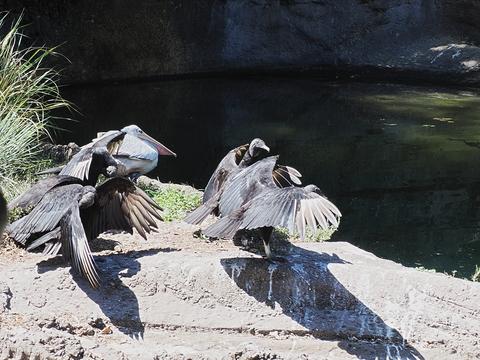 Enjoying the sun