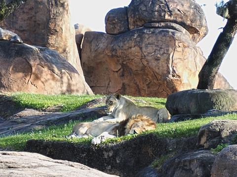 The king and queen at rest