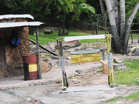 Beehive fence