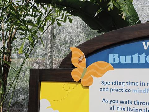 Butterfly on butterfly sign