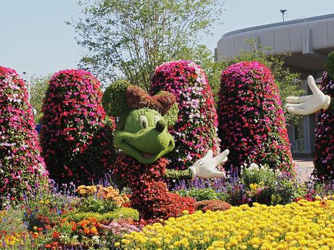 Minnie topiary