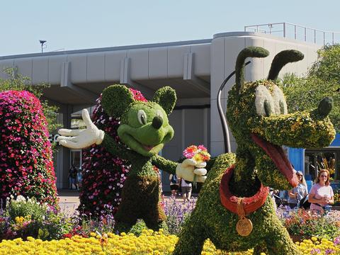 Micky and Pluto topiary