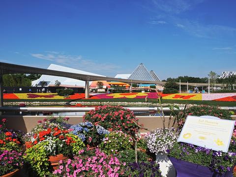 EPCOT Flower and Garden show