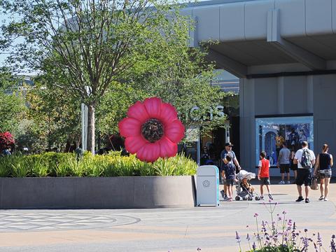 Giant flower