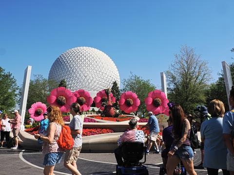 Figment and large flowers