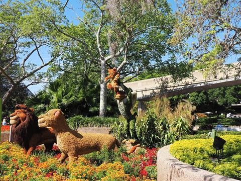 Lion King topiary