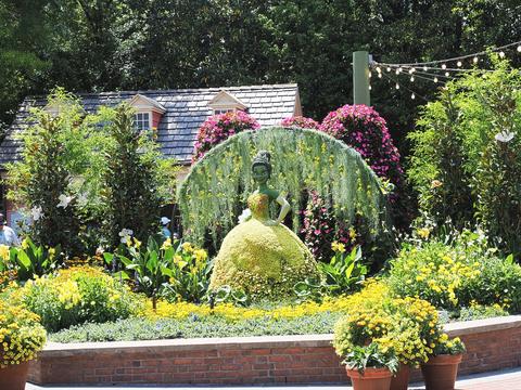 Tianna topiary