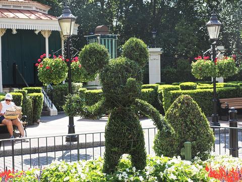 Mickey topiary