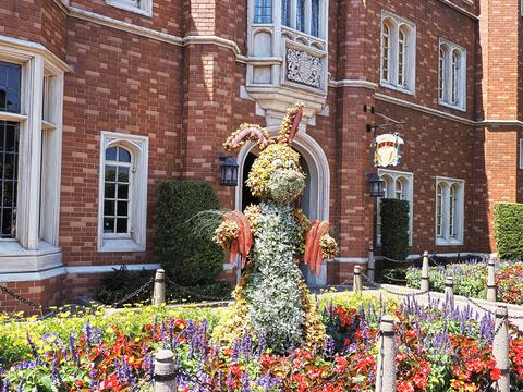 Rabbit topiary