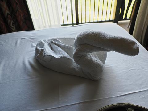 Swan made out of towels