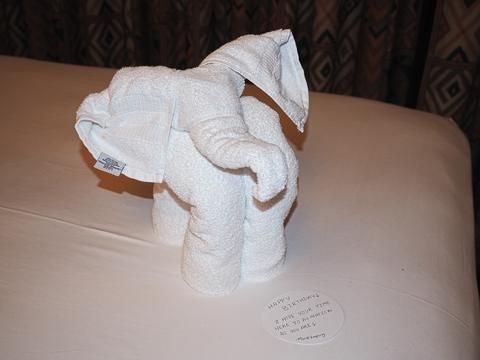 Elephant made out of hotel towels