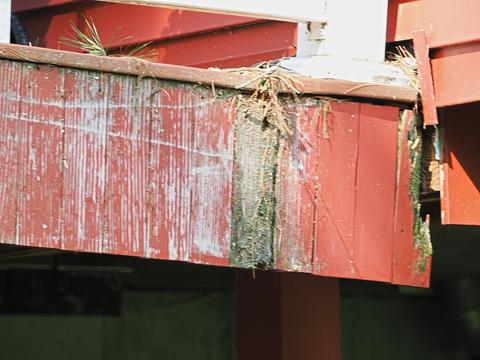 Deck damage #4