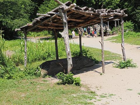 Canoe building