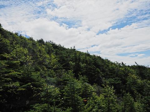 Mount Washington #22