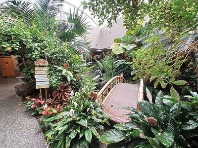 Garden at my gastroenterologist's office #2