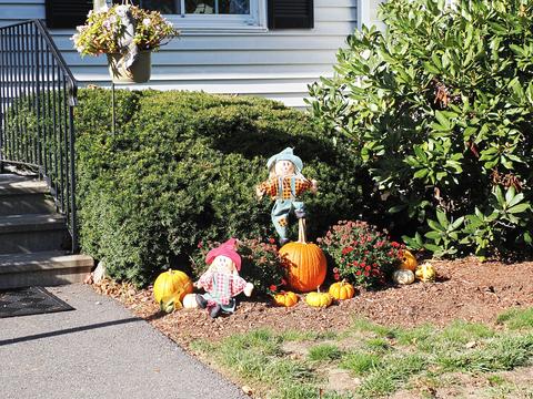Fall display