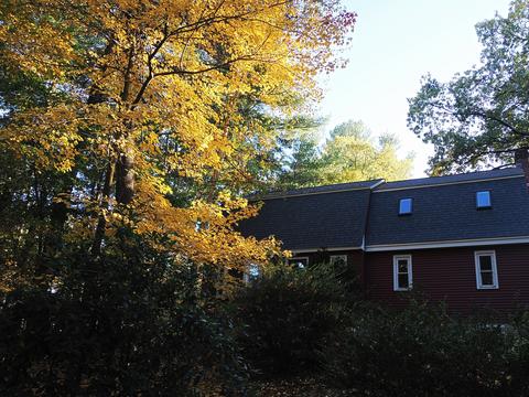 Our house in fall