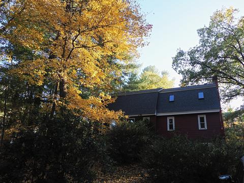 Our house in fall #2