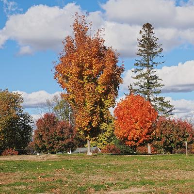 Fall at the West Parish Garden Cemetery in Andover MA. #17