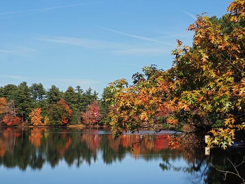 Fall in Ayer, Massachusetts #2